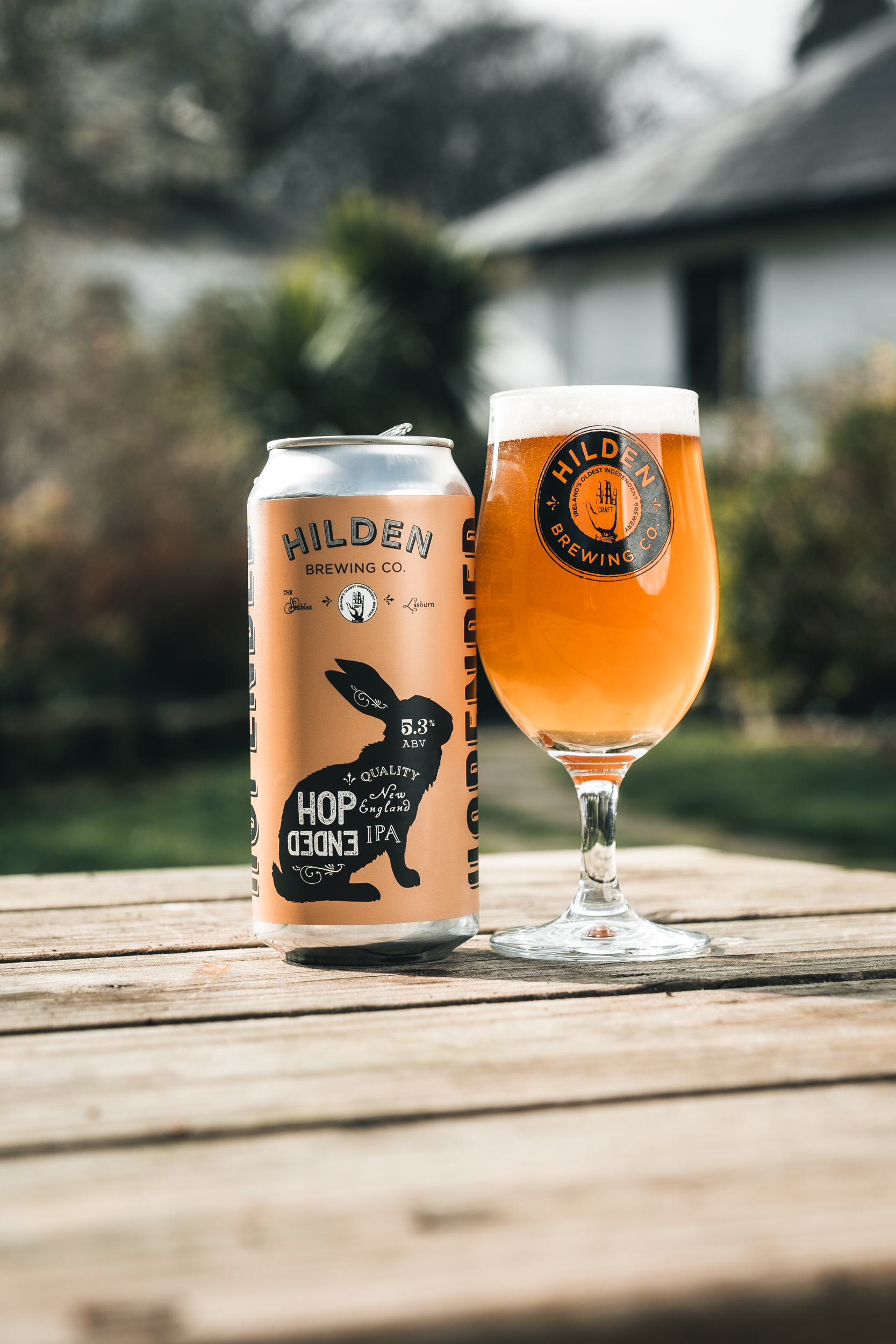 Hilden beer exports raise Czech cheers